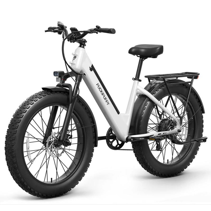 All Terrain 26" Fat Tire Electric Bicycle