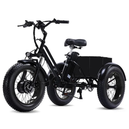 48V500W Electric Folding Tricycle for Adults