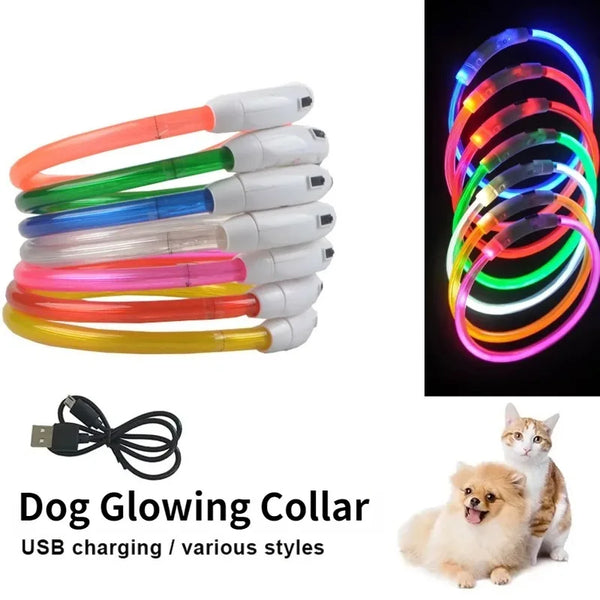 Rechargeable Dog Collar fiber optic night glow