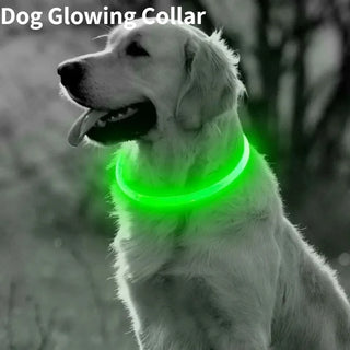 Rechargeable Dog Collar for outdoor activities