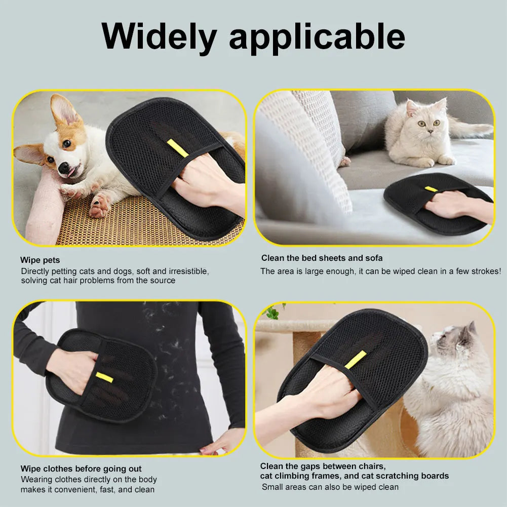 Pet Hair Removal Mit