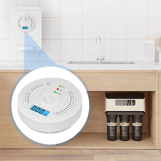 Portable CO Detector with LED Indicator, Warning Alarm Senso - Battery Powered