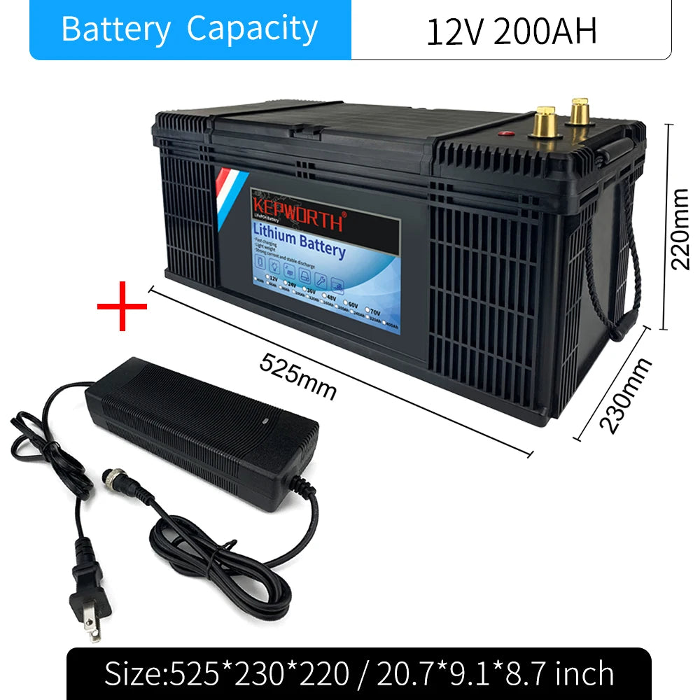 LiFePO4 Lithium Iron Phosphate Battery with BMS