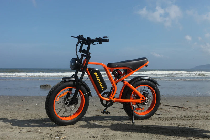 Electric Mountain Bike for Adults