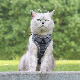 Pet Reflective Harness and Leash