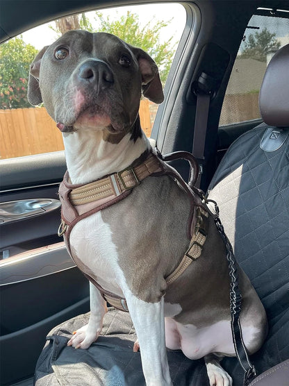 Dog Car Seat Covers