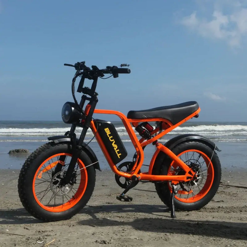 Electric Mountain Bike for Adults