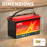 LiFePo4 Battery 12V (100Ah 200Ah 300Ah) 24V (100Ah) BMS Lithium Battery