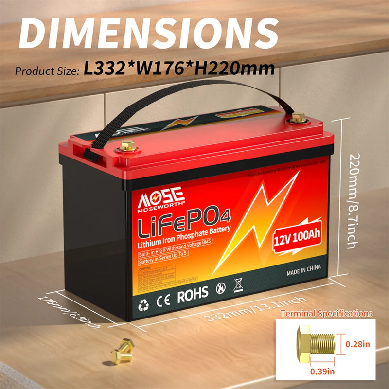 LiFePo4 Battery 12V (100Ah 200Ah 300Ah) 24V (100Ah) BMS Lithium Battery