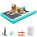 Mint dog ramp
