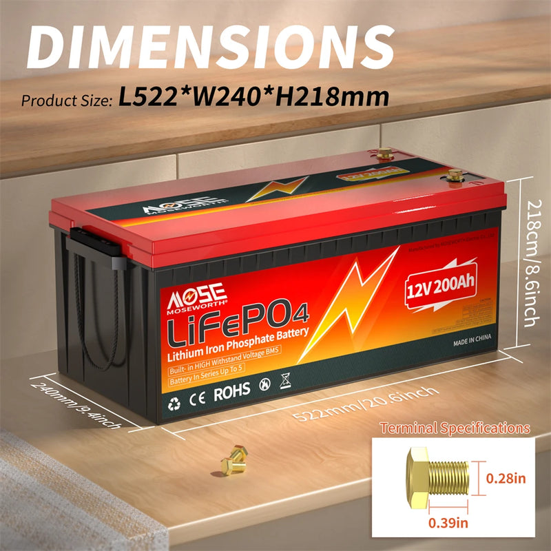LiFePo4 Battery 12V (100Ah 200Ah 300Ah) 24V (100Ah) BMS Lithium Battery