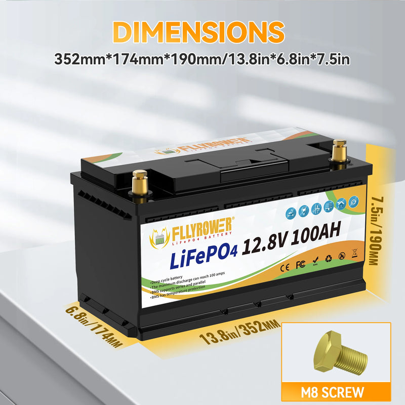 12V 100Ah LiFePo4 BMS Battery Pack