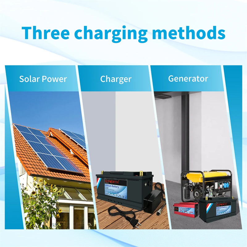 LiFePO4 Lithium Iron Phosphate Battery with BMS