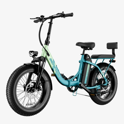 Folding Electric Bike with Mini Sofa Back Seat