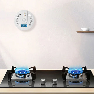 Portable CO Detector with LED Indicator, Warning Alarm Senso - Battery Powered