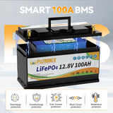 12V 100Ah LiFePo4 BMS Battery Pack