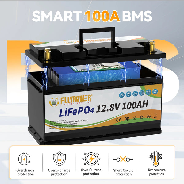 12V 100Ah LiFePo4 BMS Battery Pack