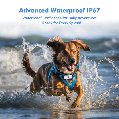GPS Waterproof Tracker for Pets - Smart Locator with App