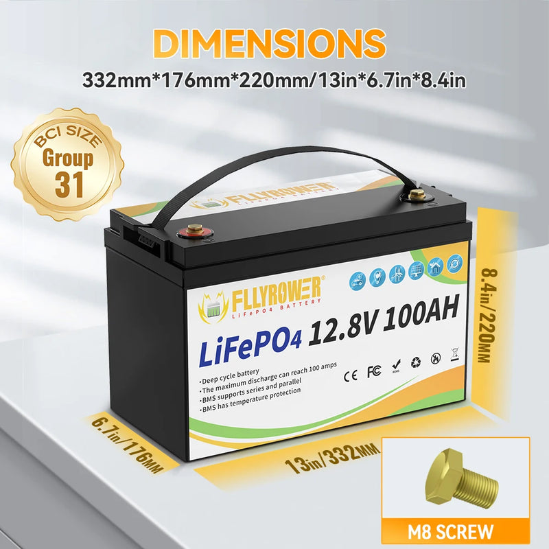 LiFePO4 Battery 12V 100Ah BMS Lithium Battery