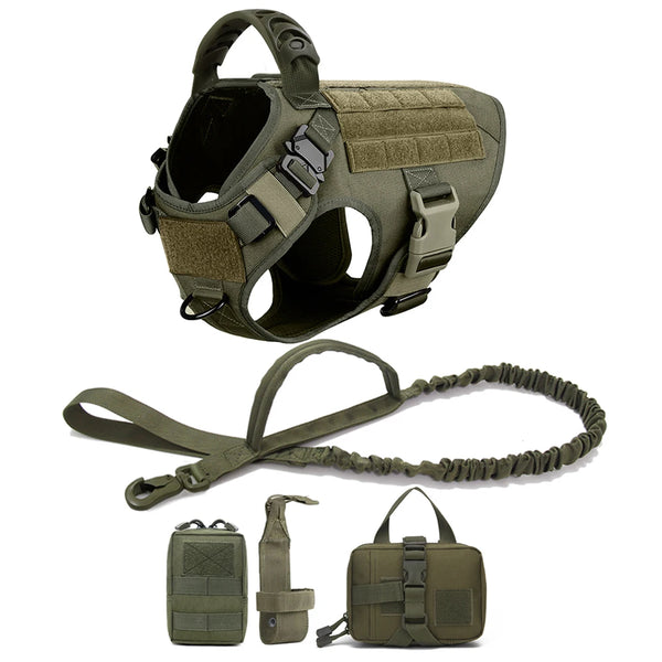 Tactical Dog Harness, Leash, Bags Set
