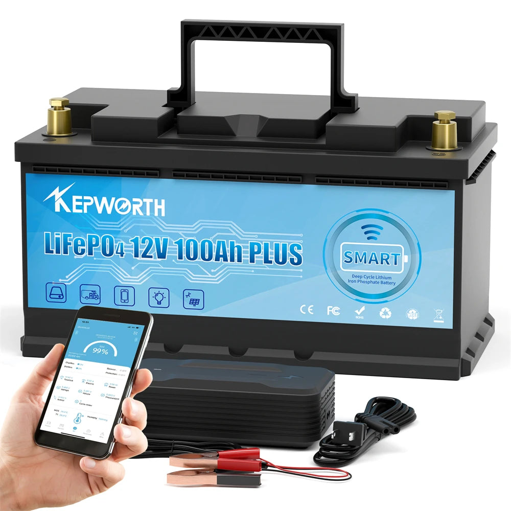 LiFePO4 Lithium Iron Phosphate Battery with BMS