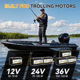 12V 100Ah LiFePo4 BMS Battery Pack