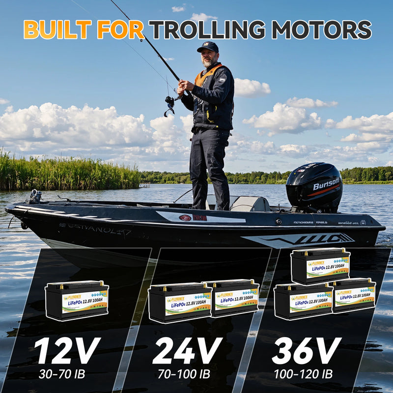 12V 100Ah LiFePo4 BMS Battery Pack