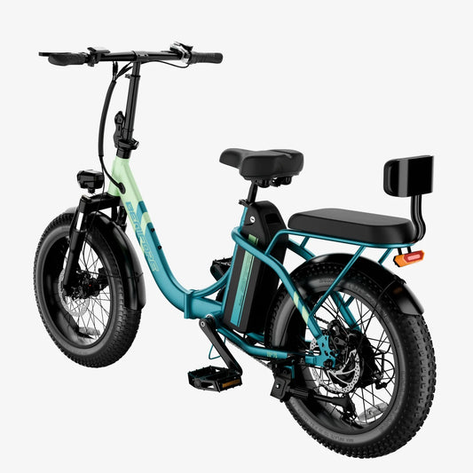 Folding Electric Bike with Mini Sofa Back Seat