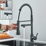 Black Kitchen Sink Faucet
