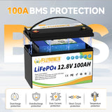 LiFePO4 Battery 12V 100Ah BMS Lithium Battery
