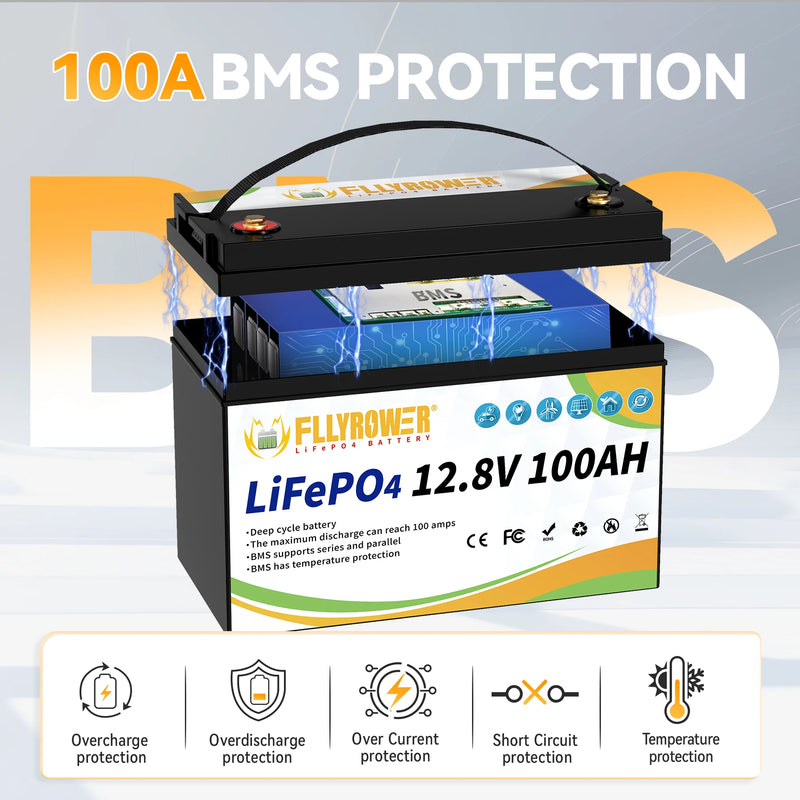 LiFePO4 Battery 12V 100Ah BMS Lithium Battery