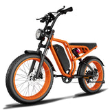 Electric Mountain Bike for Adults