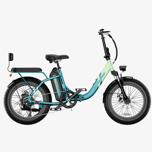 Folding Electric Bike with Mini Sofa Back Seat