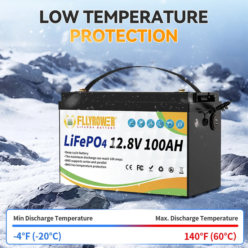 LiFePO4 Battery 12V 100Ah BMS Lithium Battery