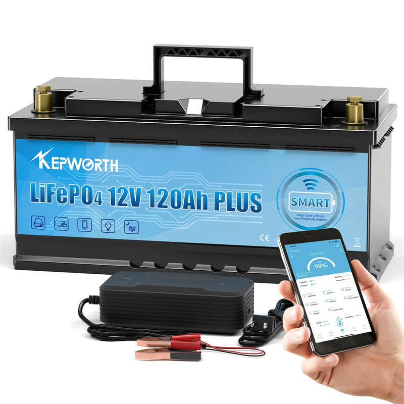 LiFePO4 Lithium Iron Phosphate Battery with BMS