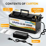 12V 100Ah LiFePo4 BMS Battery Pack