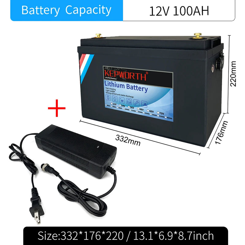 LiFePO4 Lithium Iron Phosphate Battery with BMS