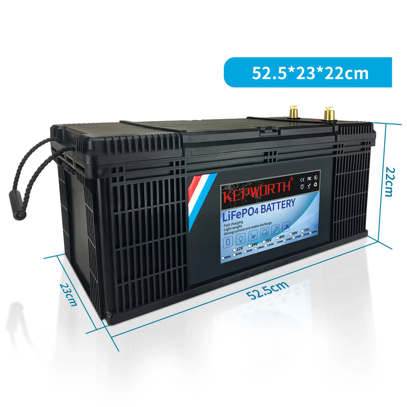 LiFePO4 Lithium Iron Phosphate Battery with BMS