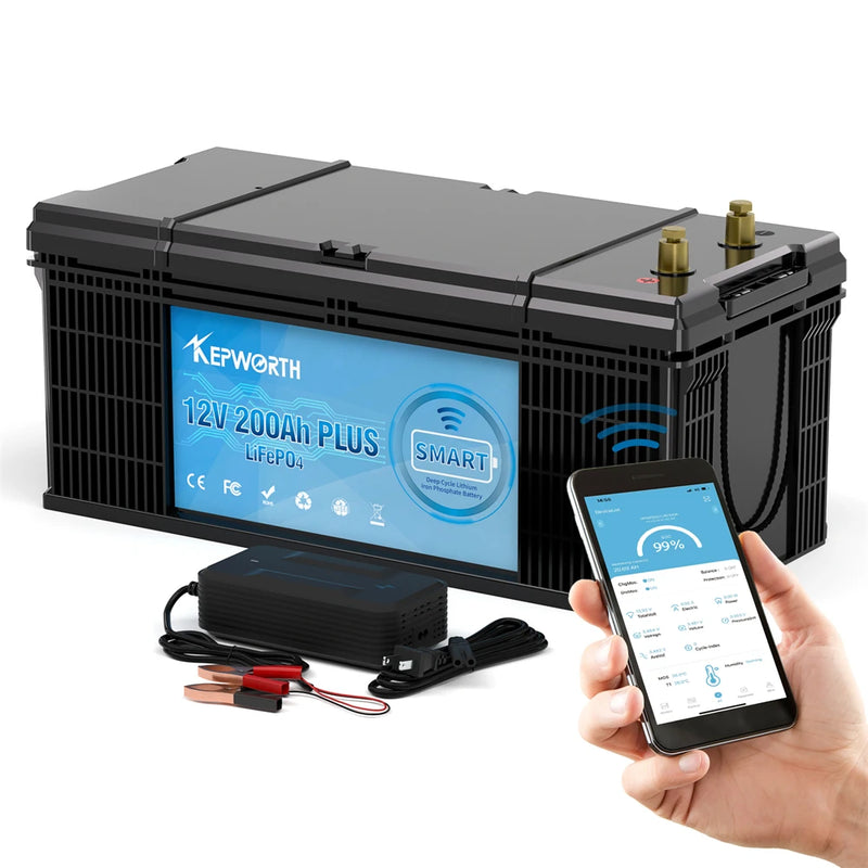 LiFePO4 Lithium Iron Phosphate Battery with BMS