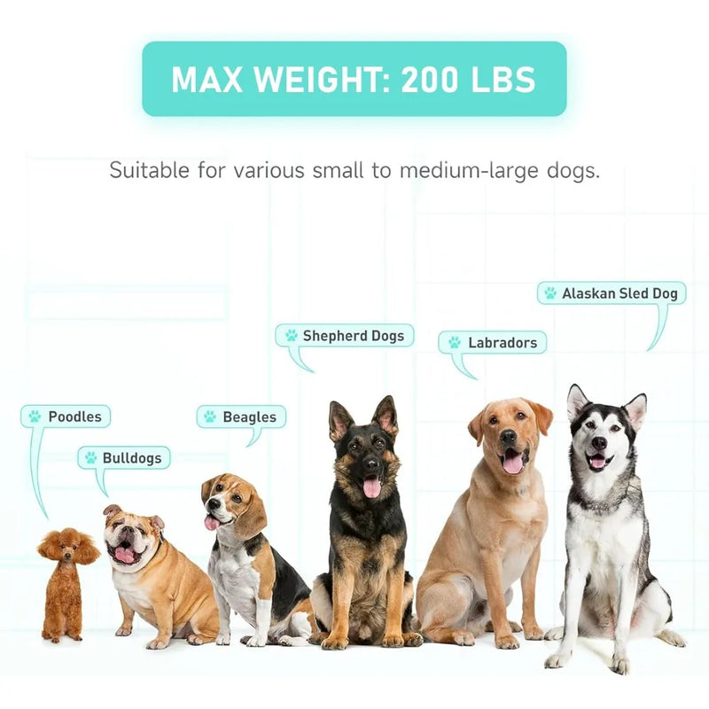 Inflatable Large Dog Water Ramp Up to 200 lbs.