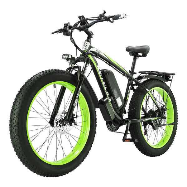 High Quality 1000w Electric Bike