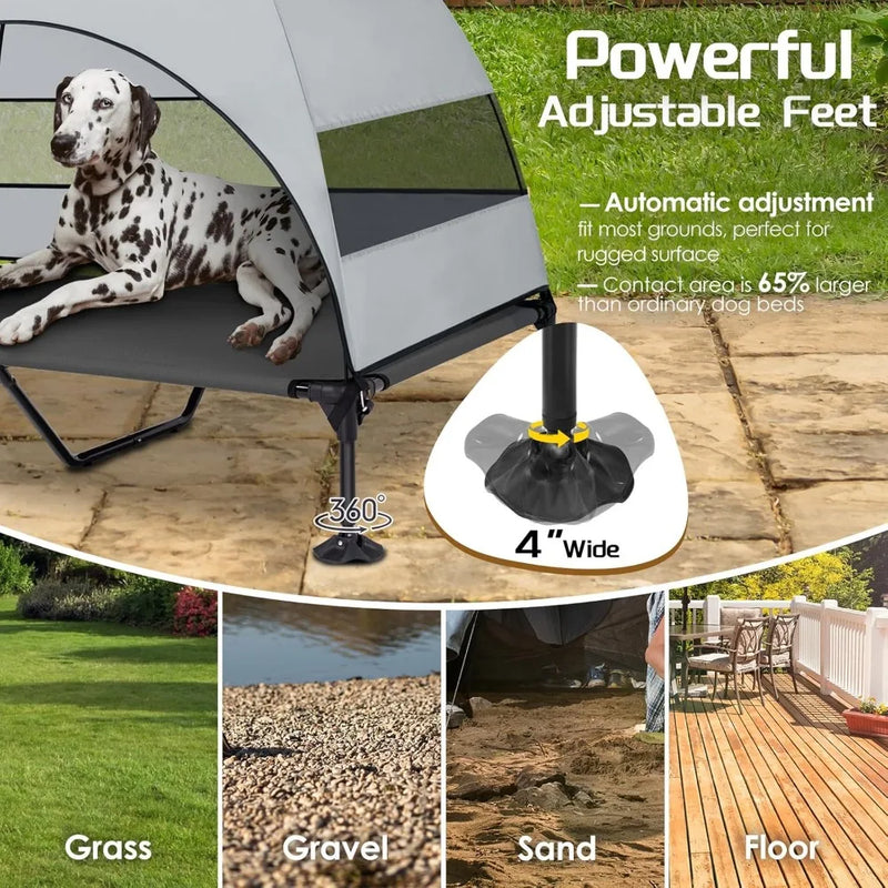 Elevated Dog Bed with Upgraded Canopy