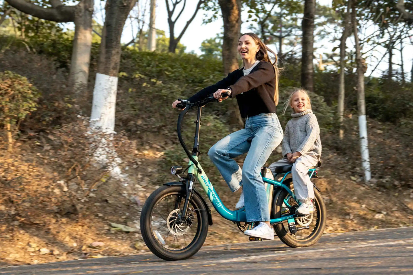 Folding Electric Bike with Mini Sofa Back Seat
