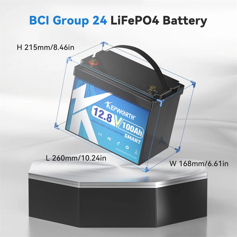 LiFePO4 Lithium Iron Phosphate Battery with BMS