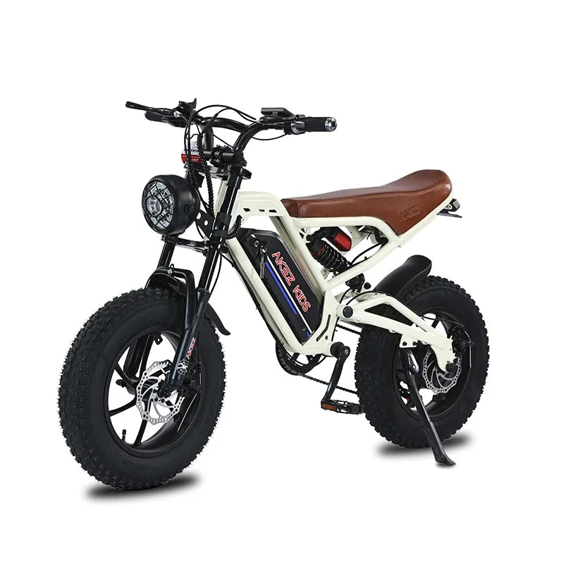 16inch Fat Tire Electric Bike for Kids