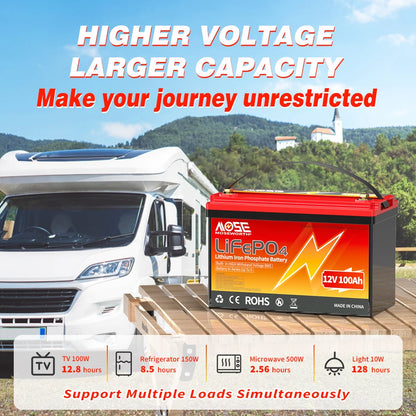 LiFePo4 Battery 12V (100Ah 200Ah 300Ah) 24V (100Ah) BMS Lithium Battery