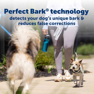 PetSafe NanoBark 2.0 Bark Collar for Small Dogs