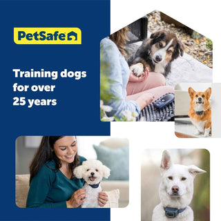 PetSafe NanoBark 2.0 Bark Collar for Small Dogs