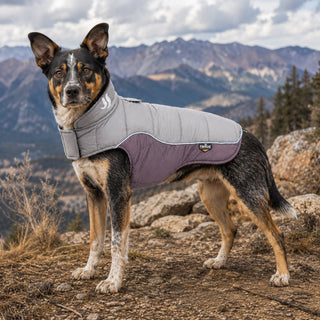 Dog Helios ® Hurricane-Waded Plush 3M Reflective Insulated Winter Dog Coat