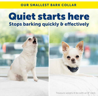 PetSafe NanoBark 2.0 Bark Collar for Small Dogs